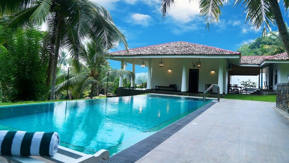 swimming pool attracting bees