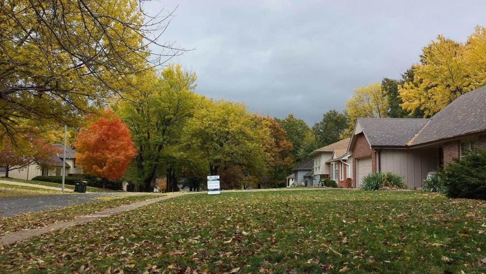 a row of grassy lawns in the fall