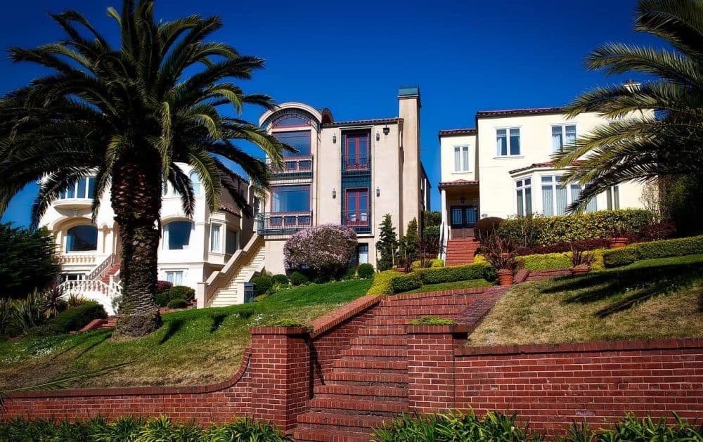 a california style house with palm trees
