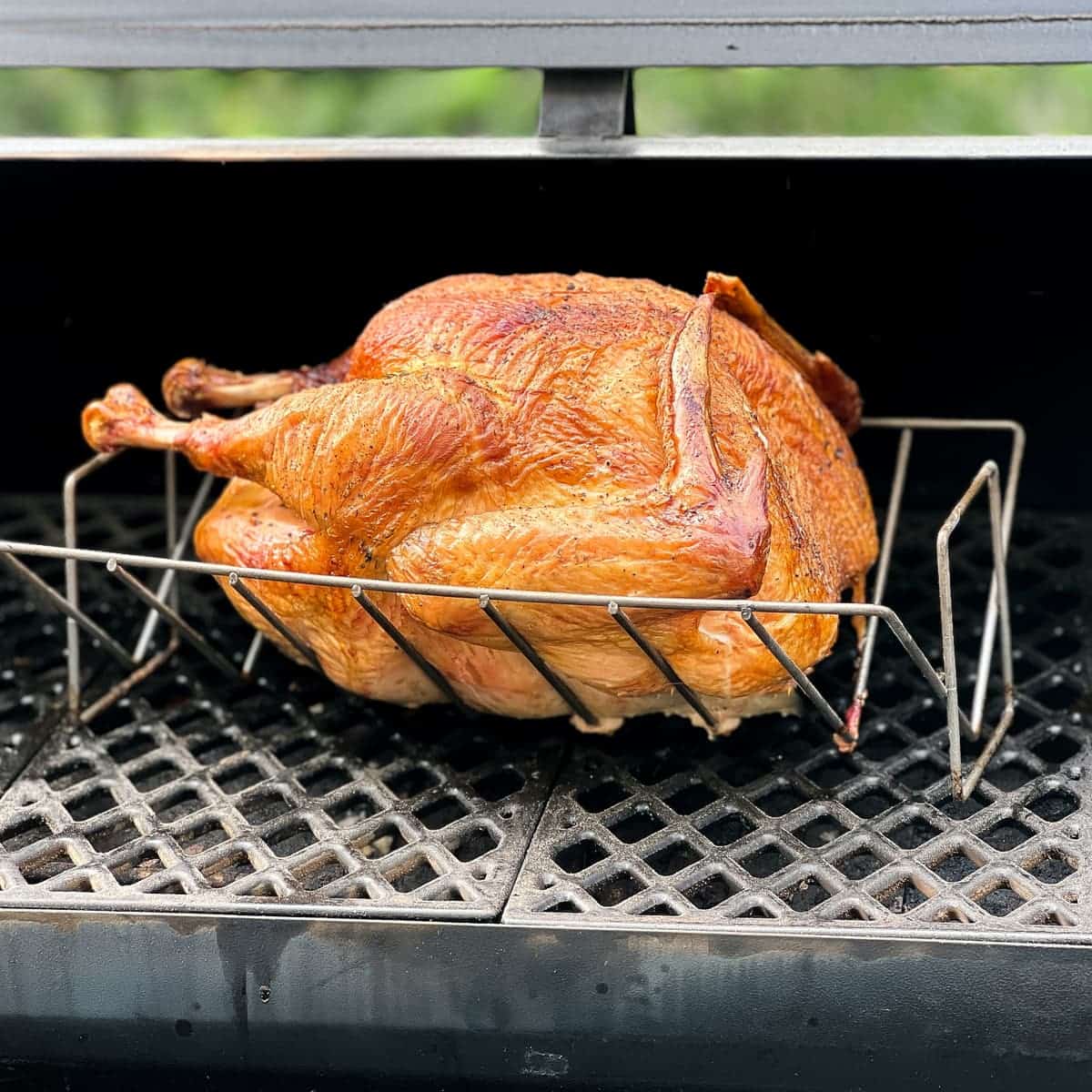 turkey in a V shaped rack smoking on a pellet grill