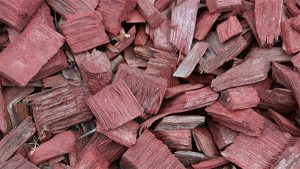 wood chips for an electric smoker