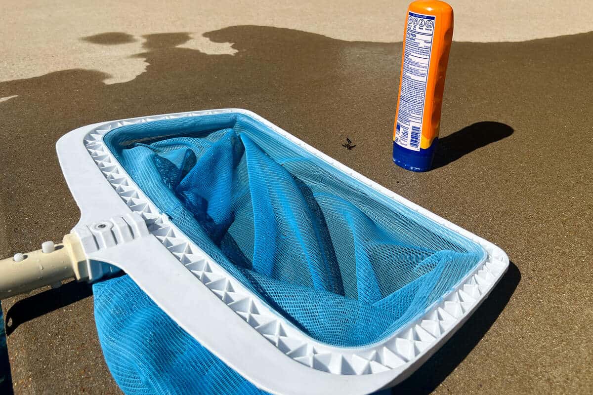 a blue net with a bottle of sunscreen on concrete pool deck and dead wasp next to it