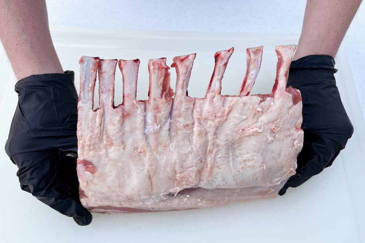 raw rack of lamb held up with nitrile gloved hands to show the fat side and Frenched bones facing up