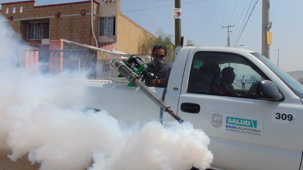 wasp killer spray coming out of a truck