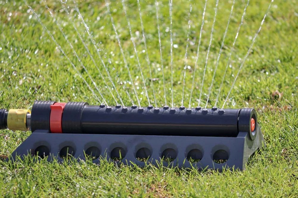 a sprinkler watering an overseeded lawn