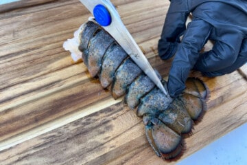 scissors cutting the shell of a lobster tail down to the fin