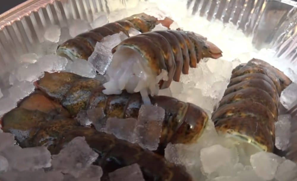 cold water lobster tails on ice