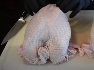 turkey breast raw