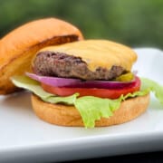 Pit Boss hamburger with cheese on a bun on a white plate with lettuce, tomato and red onion