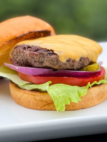 Pit Boss hamburger with cheese on a bun on a white plate with lettuce, tomato and red onion