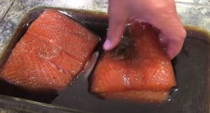 salmon after brining overnight
