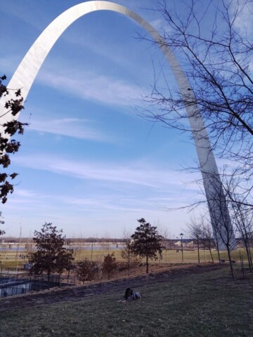 missouri st. louis arch and grass