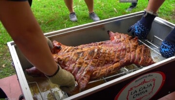 a pig roast in the backyard