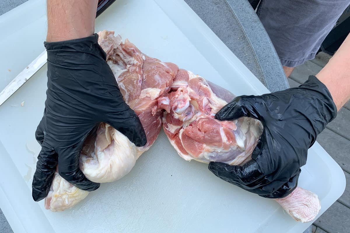 gloved hands pulling apart a turkey leg from the turkey thigh