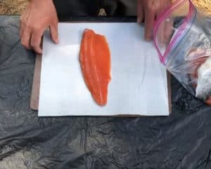 a raw trout fillet on a paper towel