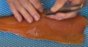 pulling pin bones out of a trout fillet