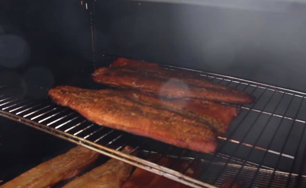 trout fillets smoking in a smoker
