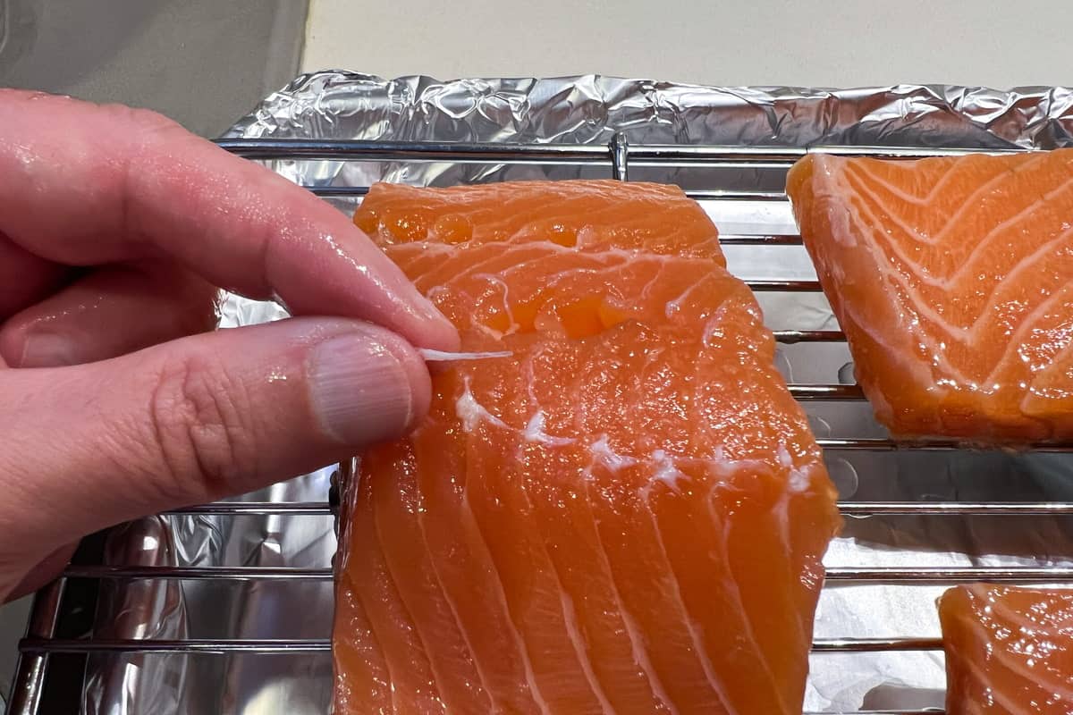 pin bone removed from salmon held up to show size