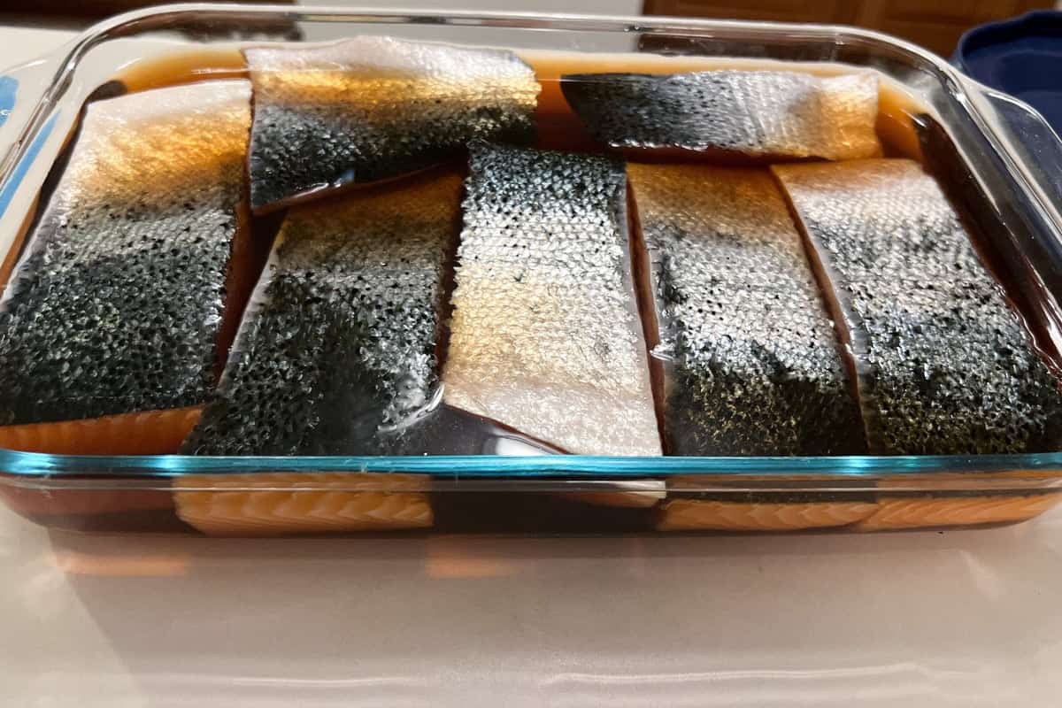 salmon fillets in a dish skin side up with wet brine