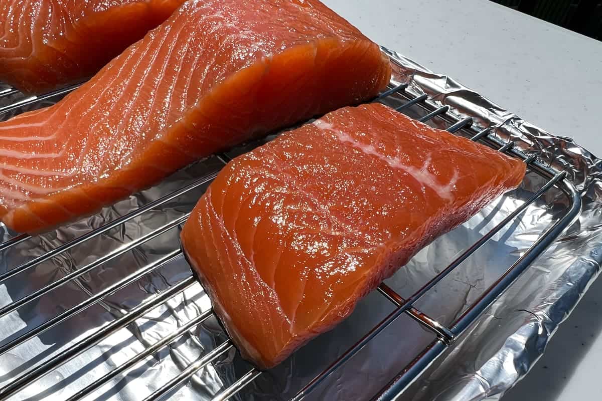 pellicle on the surface of salmon fillets