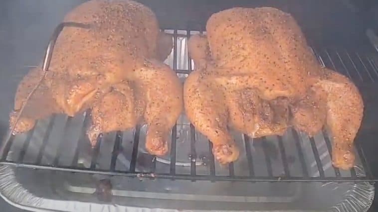 two smoked whole chickens in a masterbuilt electric smoker