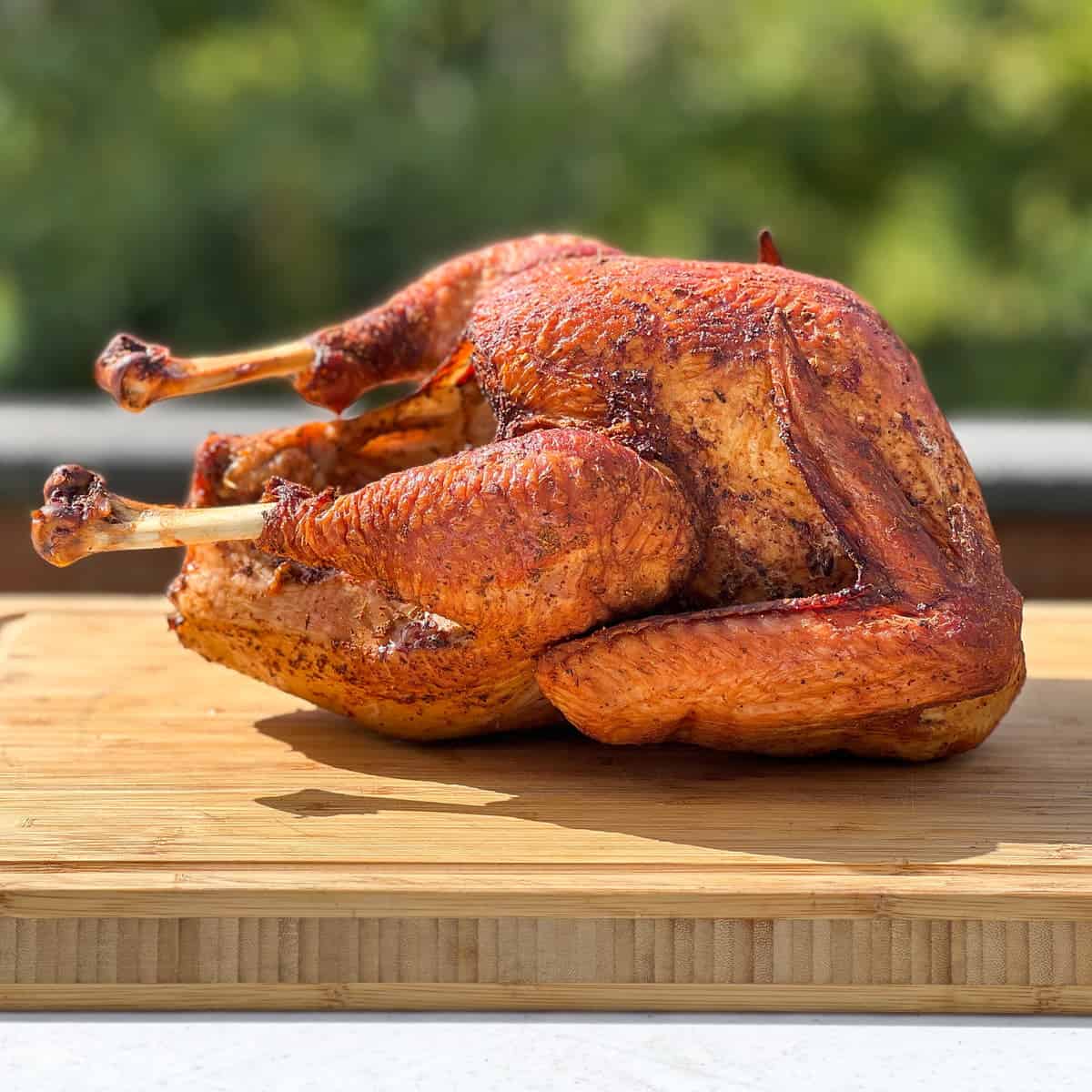 https://www.madbackyard.com/wp-content/uploads/2022/04/01_Smoked-Turkey-in-an-Electric-Smoker-Thumbnail.jpg