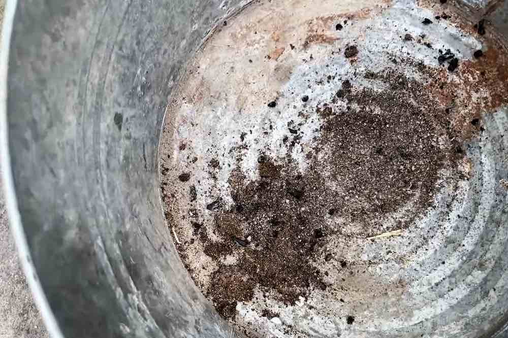 ashes from firepot dumped into bucket