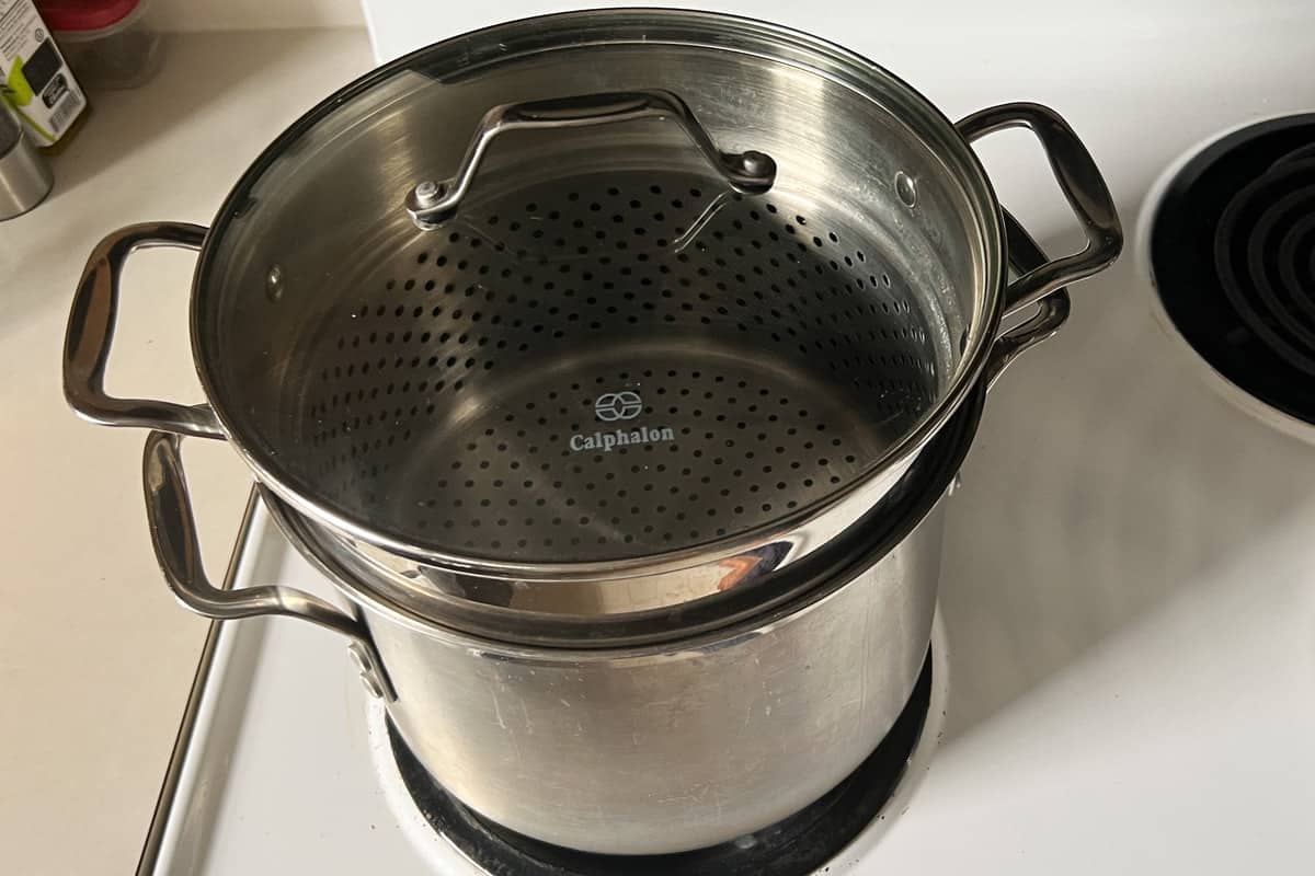 stockpot with steamer basket insert and glass lid