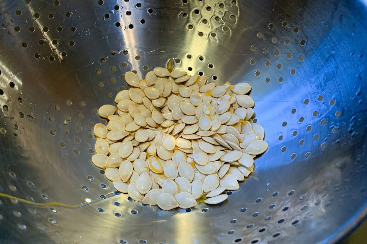 clean pumpkin seeds in a metal strainer